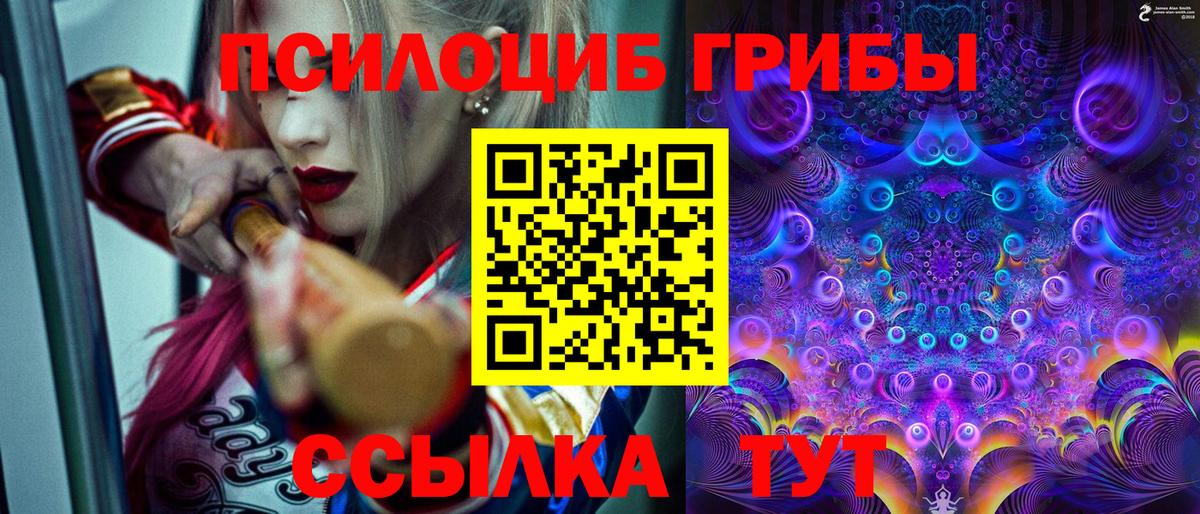 Галлюциногенные грибы прущие грибы Барнаул