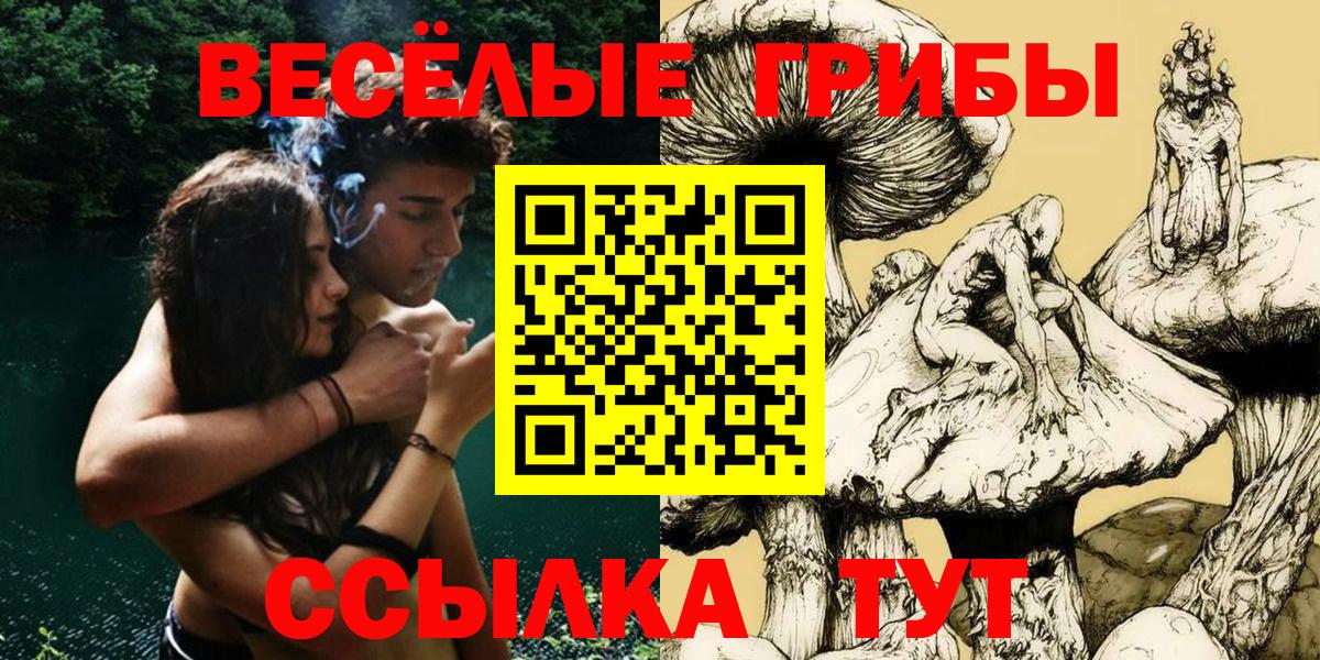 Барнаул  Псилоцибиновые грибы ЛСД  Вход с VPN 